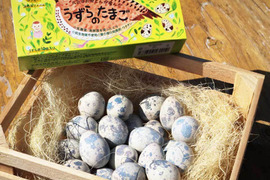 【福袋】★うずら農家人気★うずら卵の福袋セット