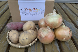 今が旬のお野菜ペアセット！