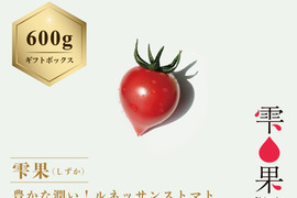 豊かな潤い！ルネッサンストマト「雫果（しずか）」600g・ギフトボックス