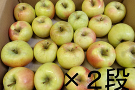 ★ぐんま名月★１１ｋｇ★訳あり★傷・虫害含む★バラ詰め★青森県産★農家直送★