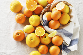 【ご予約受付中】春かんきつお楽しみ箱【家庭用(訳あり)】10kg zzz2-10