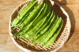 シャキシャキ食感『シカクマメ（四角豆）』（岩手県産）200g