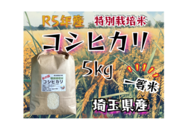 甘くて、味わい深い一等米！Pino farmのおすすめ　R5年産特別栽培米コシヒカリ　5㎏