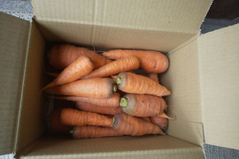 【淡路島YASAIBA】2kg ☆黒田五寸ニンジン