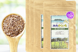 ＜湘南産＞菊芋焙煎茶100ｇ（粒々）×
4個【湘南きくいも】（メール便商品）