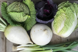 冬の京野菜セット6品目【漢方栽培】