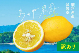 島のねレモン【訳あり/瀬戸内産/国産/サイズ混合/5kg】