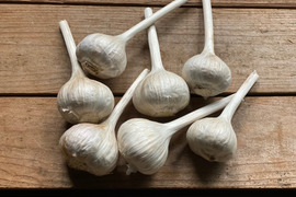 平戸にんにくの通販｜にんにく｜食べチョク｜産地直送(産直)お