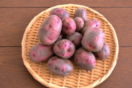 【S～SSサイズ】コクと甘味が特徴の希少品『グラウンドペチカ』 ジャガイモ (4kg)