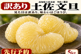 土佐文旦 訳あり5kg｜見た目より味と量｜サイズ・玉数おまかせ｜発祥の地・高知県土佐市産｜30日以上低温熟成｜日本ギフト大賞受賞｜柑橘・果物のお取り寄せ｜2027年先行予約｜やの一果彩