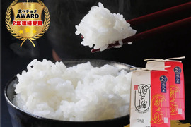 南魚沼産新之助１等米10kg(5kg×2袋）【塩沢地区のお米100％】【令和7年産】【食べチョクアワード受賞✨】