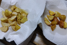 夏の自由研究～フライドポテトでじゃがいも8種食べ比べ～