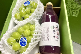 エビカニ様　シャインマスカット4キロ　神奈川県 山梨県産他 シャインマスカット 1房 約480g – ハヤシフルーツ