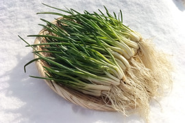 あさつき【キュルッと食感、ほっこりする甘さ】＜約400g＞