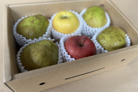 【冬ギフト】ラ・フランス＆りんごセット~ふふっとBOX~