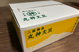 【二段熟成】果汁たっぷり！丸神文旦　訳あり・5kg（中玉　9玉前後）