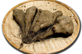 とろろ旨み濃厚 農薬不使用 短形自然薯 5kg