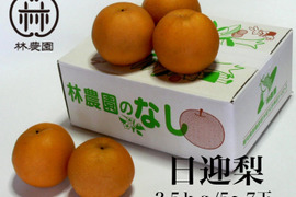 日迎梨：林農園オリジナル品種(家庭用）約2.5kg(4～7玉)