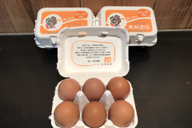 大松農場たまご　「大松のもみじ」【6個×3パック】鶏卵　自然そのままの味わい