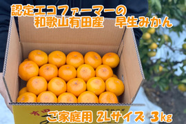 【秀品・２Ｌサイズ】和歌山有田産！早生みかん≪3㎏≫