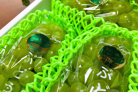 忘れられない美味しさと香り　岡山県からお届け　マスカットオブアレキサンドリア　1.5キロ以上