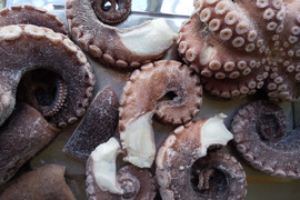 福岡県産【関門海峡たこ】ボイル済　訳ありあり加熱用たこ500g＆水分の多いたこ500g　おでんや煮たこ、たこ焼きやたこ飯に…ご家庭用1kgです