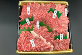 【BBQ】彩り焼肉~さつま福永牛堪能焼肉盛合せ～［4～5人前］※簡易包装でお届け！鹿児島県 黒毛和牛 牛肉 さつま福永牛 受賞歴多数 ［お取り寄せ グルメ ］
