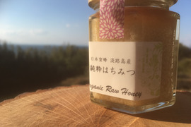 日本蜜蜂の生はちみつ 3瓶セット