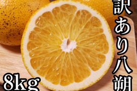 【八朔(はっさく) 訳あり 8kg】傷 青み多め