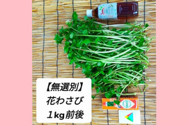 【無選別】✿花ﾜｻﾋﾞ✿_１kg前後(訳ｱﾘ)お試し,おまかせ