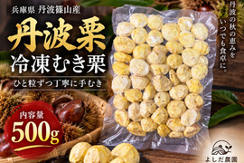【丹波栗】ひと粒ずつ丁寧に手むき 冷凍むき栗 500g 2026年収穫 むき栗 産地直送 栗 栗ご飯 剥き栗