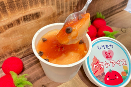 特産をひとさじに♡しらたか紅トマトアイス　6個入り