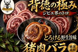 【理性崩壊レベル】ジュワッと溢れる旨味の快楽“極上猪バラ”🍖お得な大容量パッケージ約400g