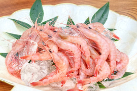 【母の日】ありがとうを贈る トロえび（中小サイズ）丸ごと楽しむ1kg