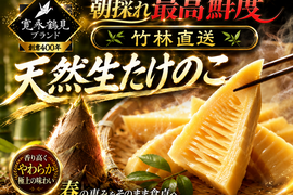 日テレ出演で話題💡【一流レストラン御用達】変幻自在の一度で５度美味しい！今だけお試し特価キャンぺーン緻密でキメ細かく透き通るような国産生タケノコ寛永鶴見園ブランド🎍お試し約800g🎍