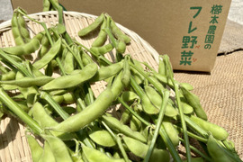 お子さまおすすめセット☆枝付き枝豆、農薬不使用　晩生玉ねぎ、新ジャガイモ