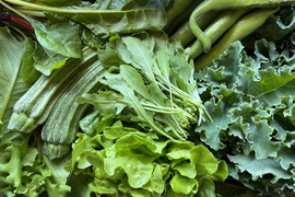 新鮮で安心【サラダ野菜セット】　農薬・化学肥料不使用