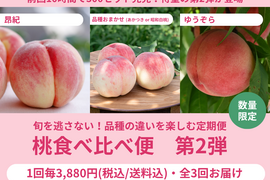 【限定300セット】桃食べ比べ便第２弾※送料込※（食べチョク公式）
