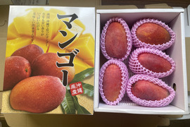 【予約】　７月発送　[贈答用] 沖縄県産マンゴー　2kg (3~8玉)