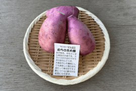 サラダの彩りに！むらさき大根 1袋(500g)