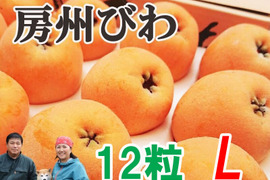 6月上旬～中旬発送『房州びわ/枇杷 Lサイズ12個入り』南房総市産の大実の枇杷を農家から