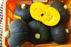 とんちゃんさん専用サイト
リクエスト内容
「２０００円旬野菜セットにブラックジョーかぼちゃ１玉・姫冬瓜１玉・切干大根１袋の同梱」