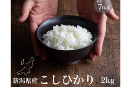 新潟県産コシヒカリ,和泉,2kg,令和7年新米,【受注後精米・農家直売】