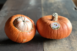 【先行予約開始】 幻の奥会津金山 赤カボチャ『合格2玉』3kg