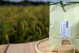 【新米】R5:あきたこまち 玄米1.8kg（農薬不使用のお米）