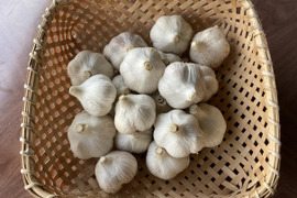 【農薬・化学肥料不使用】　にんにく１ｋｇ　Ｍサイズ（300円／100ｇ）令和６年岐阜県産【レターパック発送】