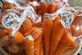 【訳あり】農薬・化学肥料栽培中不使用！栄養満点の春ニンジン4kg