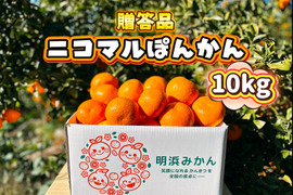 【愛媛県産】季節限定　甘味がギュッと詰まったポンカン　贈答用　10ｋｇ