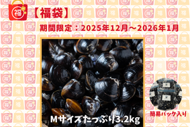 【福袋】漁師直送！宍道湖産ヤマトシジミ・冷凍3.2kg（ご家庭用・Mサイズ）
