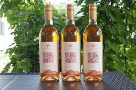 漆山ワイン3本セット